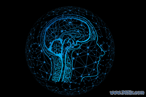 如何在安卓手机上创建、管理多个im钱包账户？_手机钱包注册_安卓钱包在哪可以添加